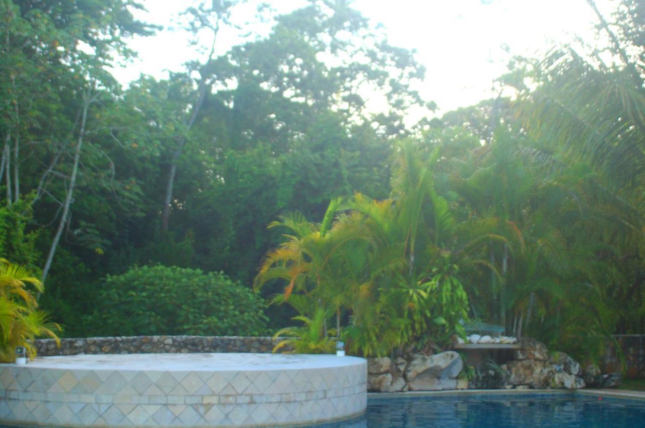 Axkan Palenque, Shows En Vivo & Gastronomia Mar Y Tierra & Travel Agency エクステリア 写真